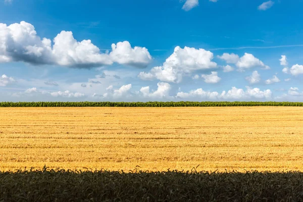 Líneas de campos de verano bajo el increíble cielo azul — Foto de Stock