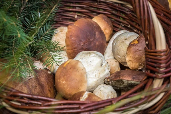 Hasır sepet mantar ile yakın çekim çekim