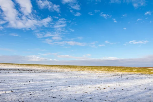 Field with rest of snow under blue sky — Stock Photo, Image