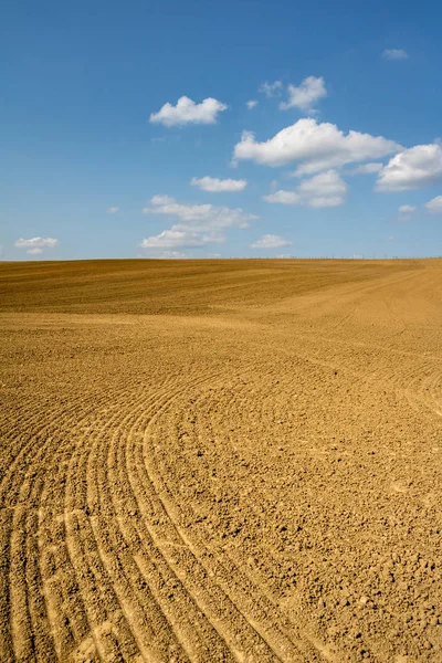 Spring countryside with plowed field and blue sky — Stock Photo, Image