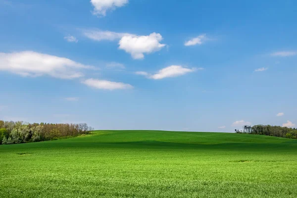 Våren Landskap Med Gröna Fält Skogar Och Blå Himmel Med — Stockfoto