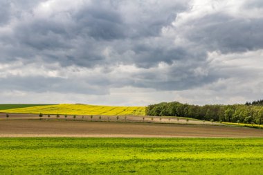 Bahar manzara renkli alanları ve gökyüzü bulutlar - Çek Cumhuriyeti, Avrupa ile