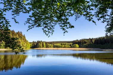 Romantik su birikintisi bahar ya da yaz peyzaj içinde