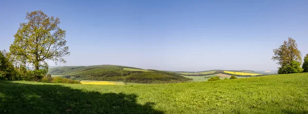 Panoramiczny widok wiejski wiosna zielony łąka i fores — Zdjęcie stockowe