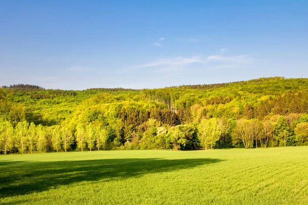 Sommerlandschaft mit grünen Wiesen, Wald und blauem Himmel — Stockfoto