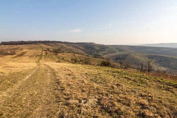 Campo Primavera Con Carretera Cubierta Hierba Bajo Cielo Azul Área — Foto de Stock