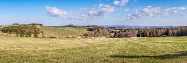 Панорамный Вид Весенний Пейзаж Зелеными Лугами Леса Небо Белыми Облаками — стоковое фото