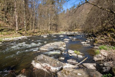İlkbahar manzarasında mavi gökyüzünün altında taşlarla dolu bir nehir. Oslava Nehri, Çek Cumhuriyeti, Avrupa