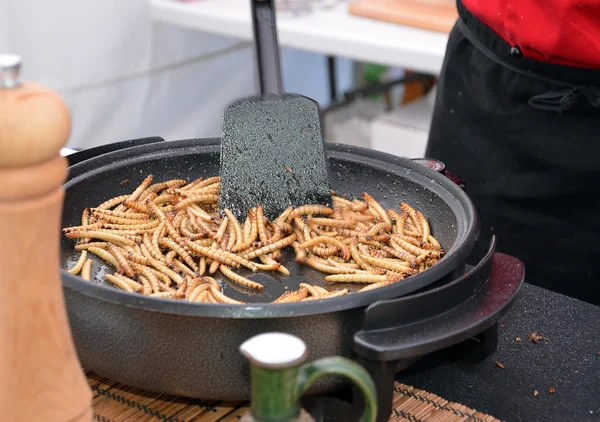 Zophobas morio σκουλήκια προνύμφες τροφίμων τηγάνισμα στο τηγάνι — Φωτογραφία Αρχείου