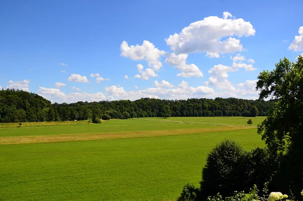 Paisagem colorida com campo e céu e árvore — Fotografia de Stock