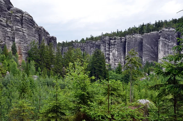 Parede de rochas altas altas no parque nacional ilustração fotografia — Fotografia de Stock