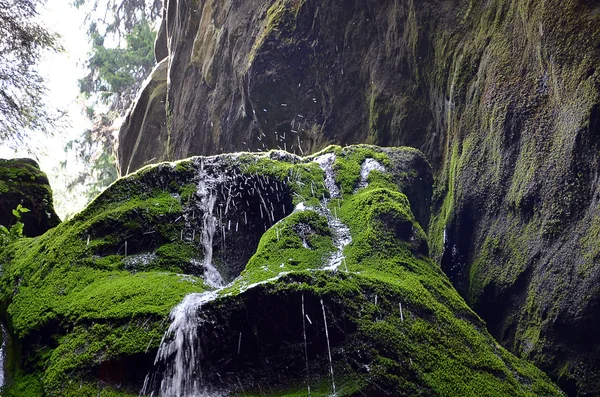 Salpicaduras de gotas de agua en la naturaleza corriente fotografía —  Fotos de Stock