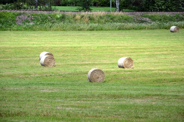 Paesaggio con il campo e balle di paglia caduta fotografia — Foto Stock