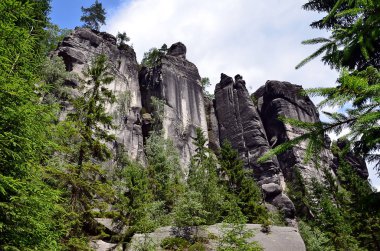 uzun boylu yüksek kayalar Milli Parkı illüstrasyon fotoğrafçılık