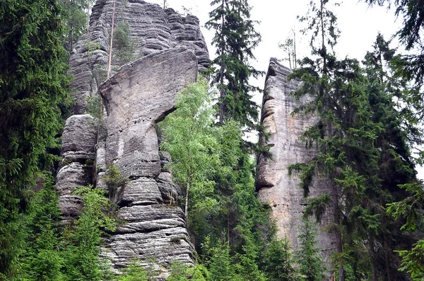 Rochas cinzentas altas altas e árvores no parque nacional fotografias — Fotografia de Stock