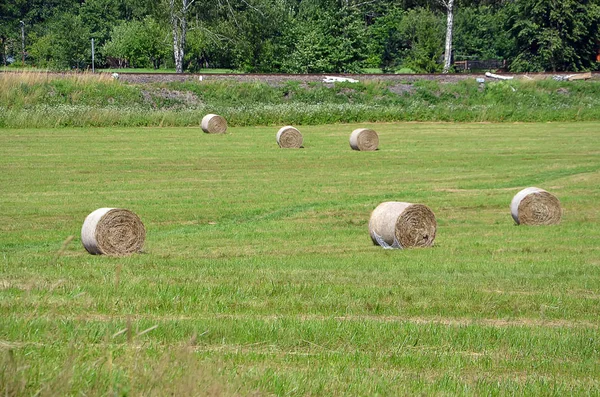 Landscape with field and straw bales photography — Stock Photo, Image