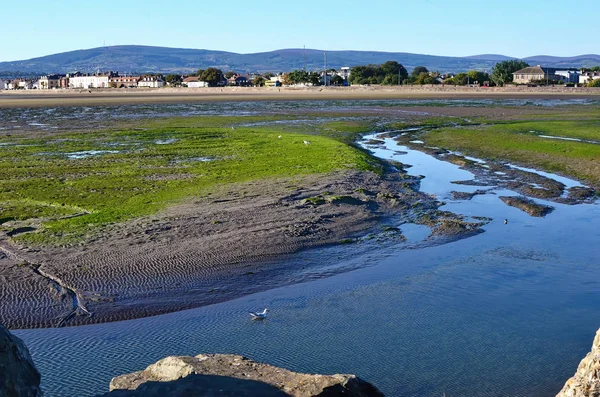 Dublin Bay em Sandymount Irishtown Nature Park Imagem De Stock