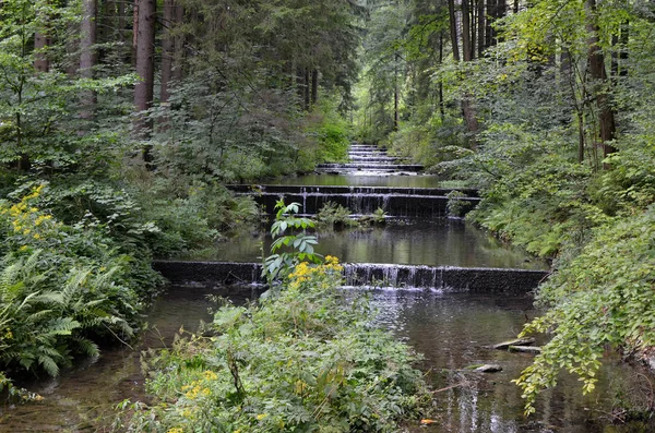 Pequeño río de agua en cascada en el bosque foto de la naturaleza Fotos de stock libres de derechos