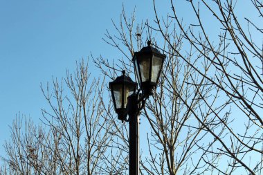 Gökyüzüne karşı yalnız bir fener