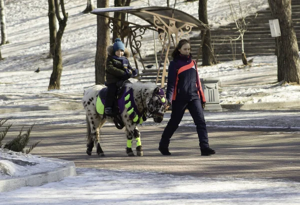 Chlapec Jezdí Poníkovi Parku — Stock fotografie