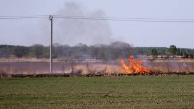 Geçen yıl bahar tarlasında yanan çimenler