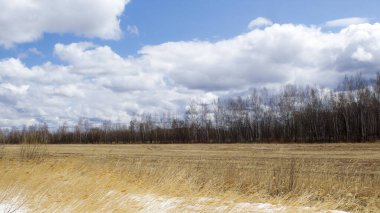 Bahar bulutları yapraksız ormanın üzerinde