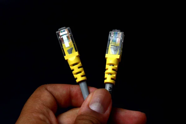 Sarı kablo ve RJ45 ile UTP LAN kablosu