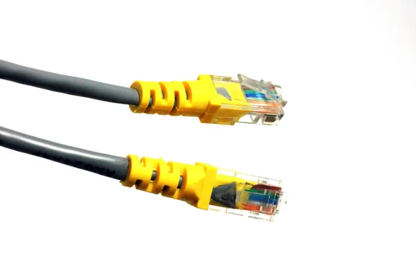 Sarı kablosu olan ethernet UTP kablosu. İzole edilmiş arkaplan