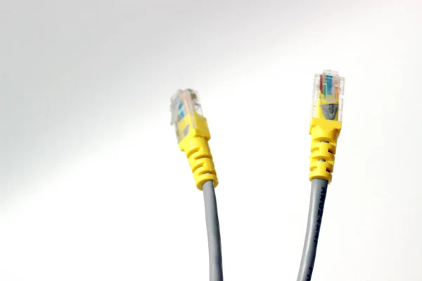Kablolu ağ için ethernet kablosu. Kedi 6