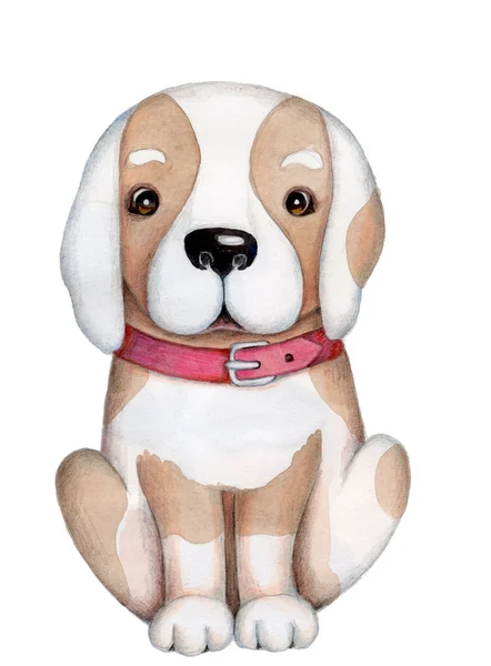 Watercolor Illustration Cute Cartoon Dog White Brown Spots Red Belt — Stock Photo, Image