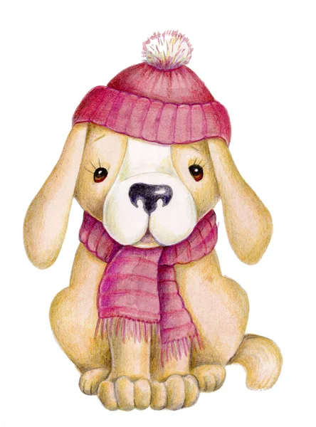 Ilustración Acuarela Lindo Perro Dibujos Animados Beige Gorra Roja Bufanda —  Fotos de Stock