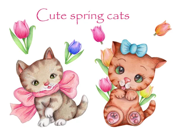Akvarell Illustration Söta Tecknade Katter Kattungar Adoradle Leksak Djur Husdjur — Stockfoto