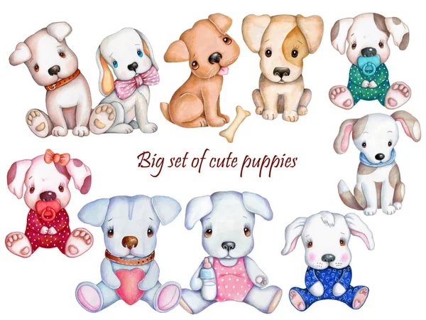 Set collection of cute cartoon dogs, puppy, toy doggies, pups. Watercolor hand drawn illustrations for children. Isolated.