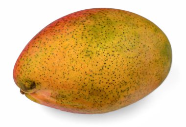 Buzdolabından soğuk mango ve beyaz arka planda izole edilmiş yoğuşmuş damlacıklar. Taze parlak meyveler.