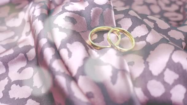 Wedding Rings Satin Fabric — Stock Video