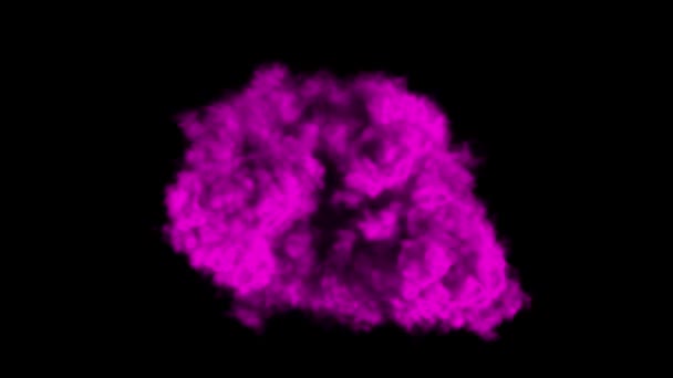 Kolorowe Wybuchy Dymu Różne Kolory — Wideo stockowe