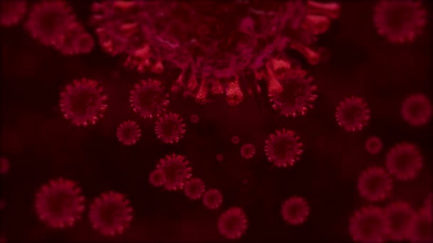 Corona Virus Blood — Stock Video