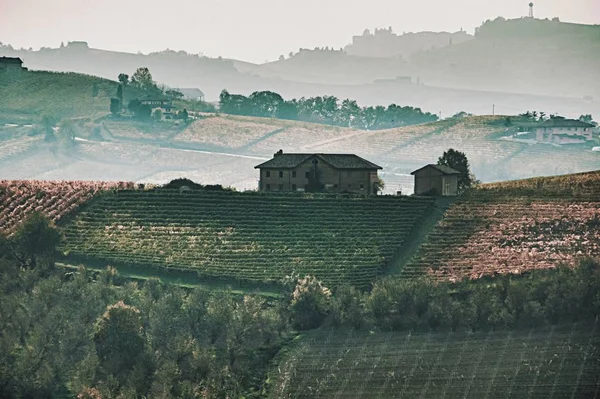 Outono Vinhedos Barolo Piemonte Itália — Fotografia de Stock