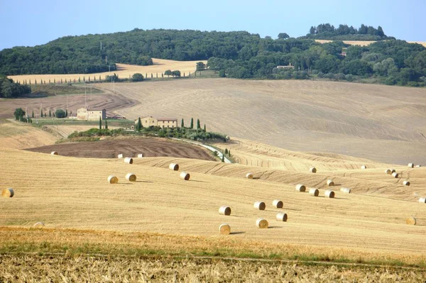 Iconisch Uitzicht Toscane Zomer — Stockfoto