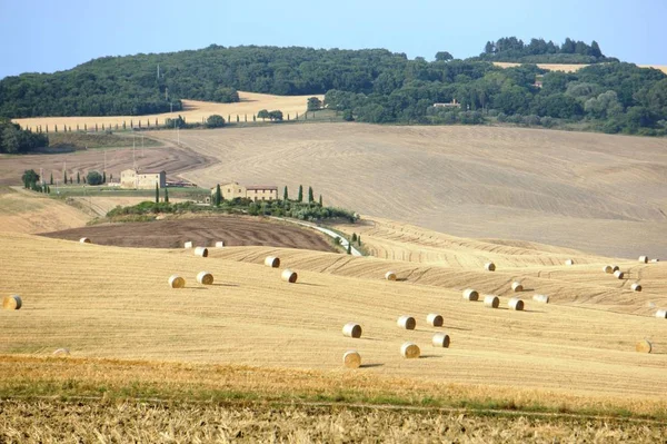 Paisagem Clássica Toscana Com Rolos Feno Itália — Fotografia de Stock