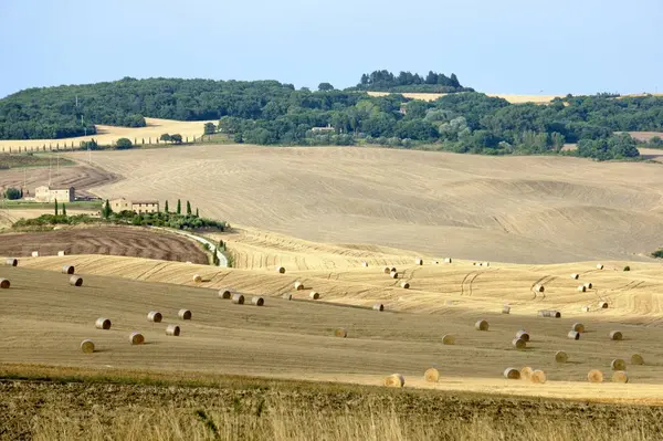 Paisagem clássica da Toscana com rolos de feno — Fotografia de Stock