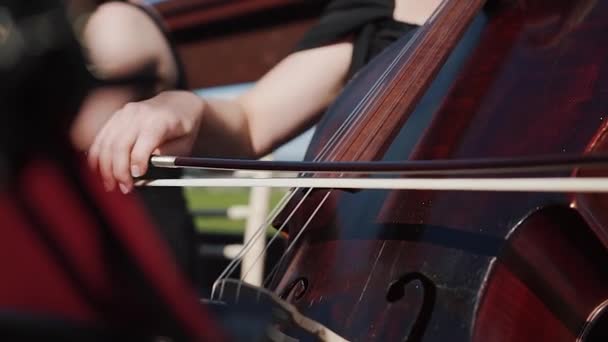 La mano femenina toca el violonchelo con arco, orquesta al aire libre . — Vídeos de Stock