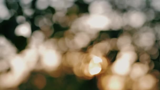 Hermosos destellos de bokeh soleado — Vídeo de stock