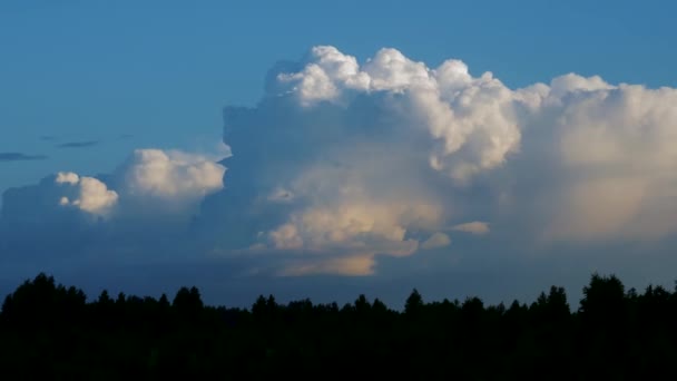 Timelapse: epickie chmury burzowe tworzące nad drzewami świerkowymi sylwetki. — Wideo stockowe