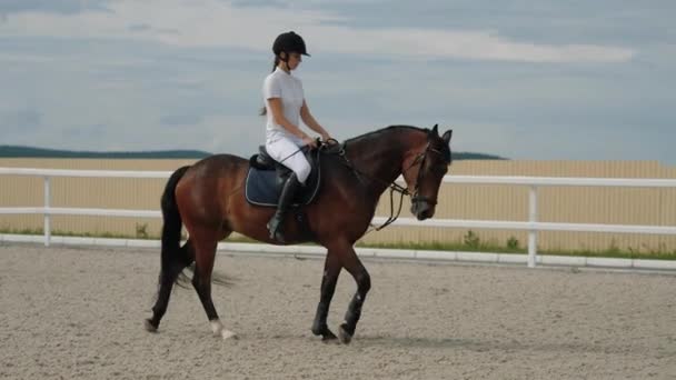 Young woman riding horse before equestrian competition on sandy parkour arena — Stock Video