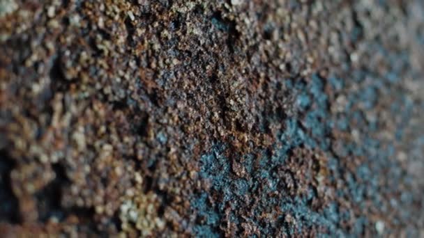 Brown gelap grunge permukaan logam berkarat. Tampilan makro korosi dalam logam besi — Stok Video