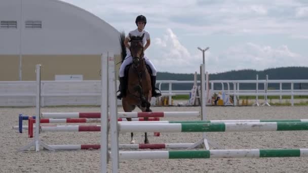 Конница скачет на коричневой лошади, перепрыгивая через препятствия на открытой парковой арене — стоковое видео