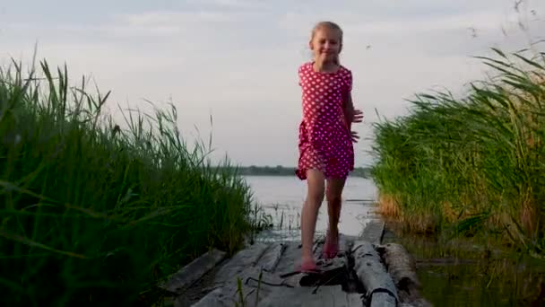 Happy little girl runs between thickets of reeds on wooden boards from the lake — ストック動画