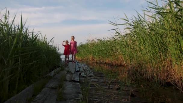 Two little cute girls walk on old wooden pier through green grass near lake — ストック動画