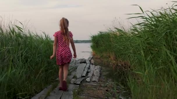 Happy little girl runs between thickets of reeds on wooden boards to the lake — ストック動画